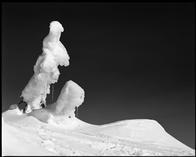 Enchanting Creatures 8