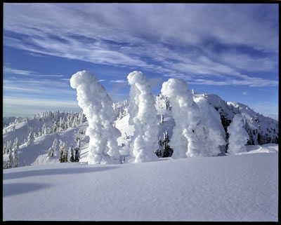 Enchanting Creatures 10