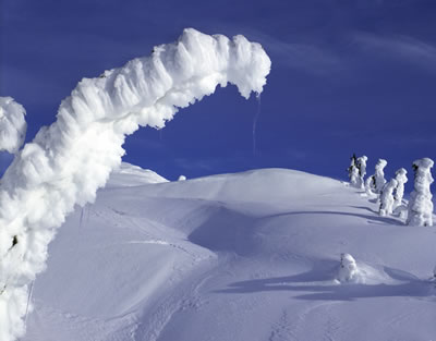 Enchanting Creatures 12