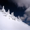 Snowy 17