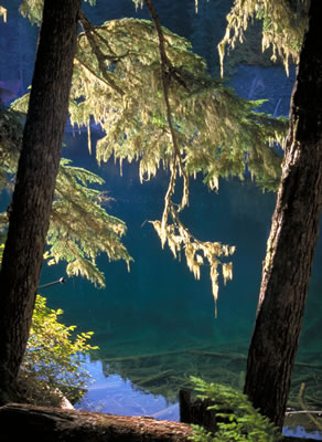 Greendrop Lake