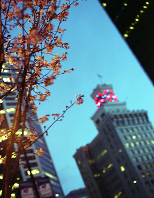 Spring in Vancouver I., Vancouver Block