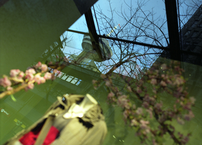 Spring in Vancouver II., Harbour Centre