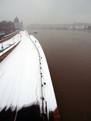 Parliament Building from Margit Bridge I