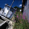 Abandoned Boat in Finn Slough