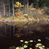 Minnekhada Regional Park