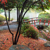 Red Bridge in Fall I