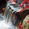 Waterfall in Autumn