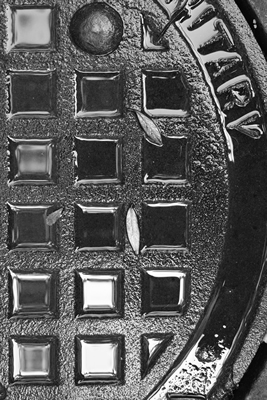 Cubics with Selfhood II
