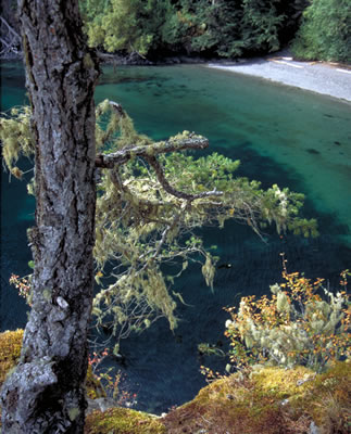 East Sooke Regional Park