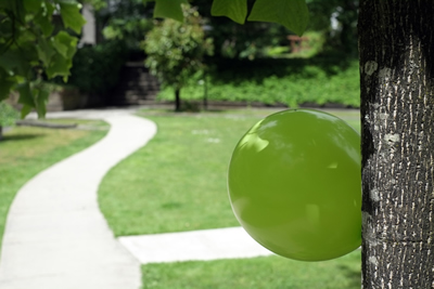 Green Party I