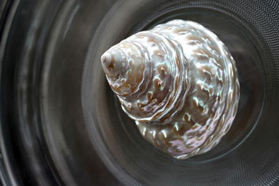 Shell IV