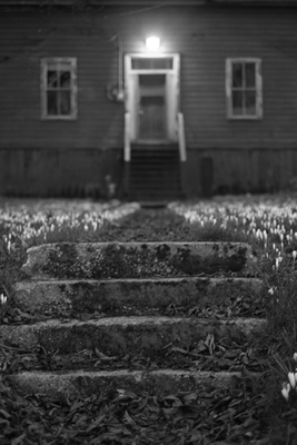 Toward the House