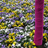Wrapped with Flowers