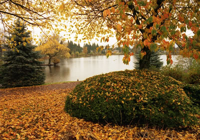 The Shores of Como Lake in Fall Colors