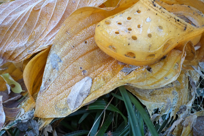 Relatives by Texture