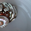 Shell 25