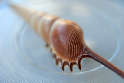 Shell 27