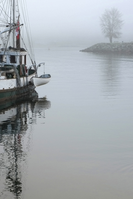 Foggy Vanier Park 01