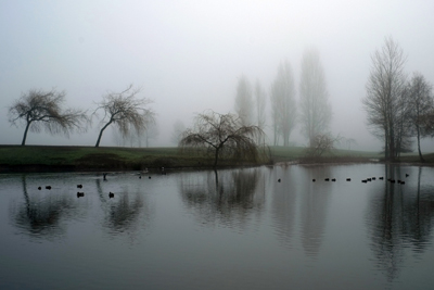 Foggy Vanier Park 02