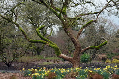 Spring Tales 02