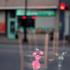 Street Flower