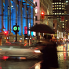Rainy Nights, Balmy Lights